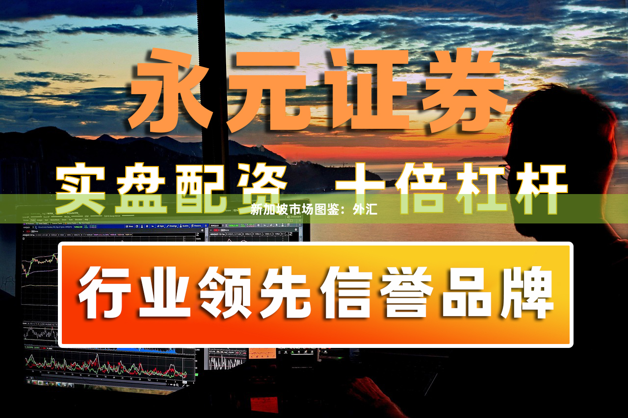 新加坡市场图鉴：外汇