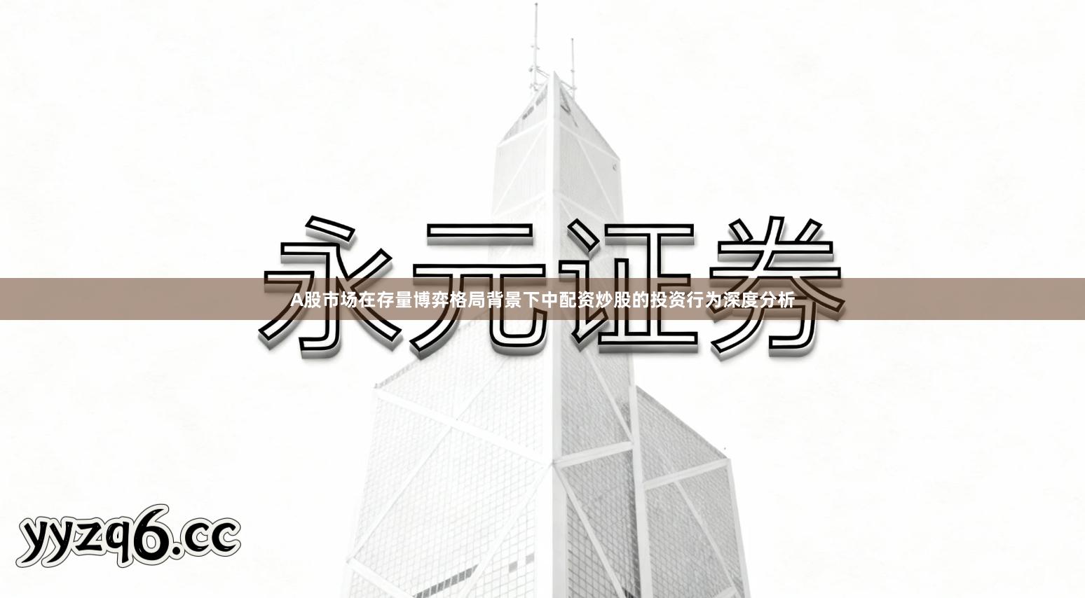 A股市场在存量博弈格局背景下中配资炒股的投资行为深度分析